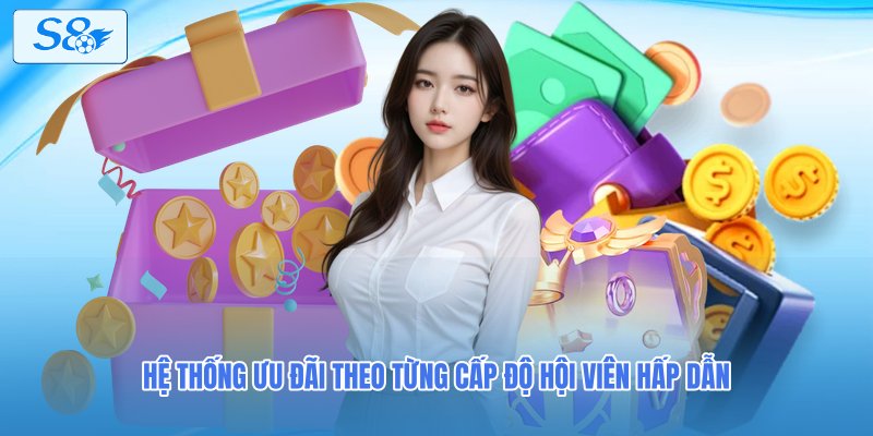 Hệ thống ưu đãi theo từng cấp độ hội viên hấp dẫn