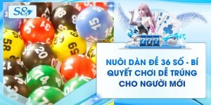 Nuôi Dàn Đề 36 Số - Bí Quyết Chơi Dễ Trúng Cho Người Mới