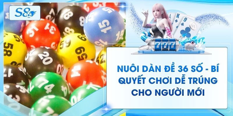 Nuôi Dàn Đề 36 Số - Bí Quyết Chơi Dễ Trúng Cho Người Mới